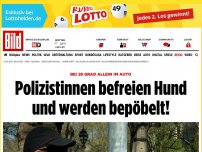 Bild zum Artikel: Bei 28 Grad allein im Auto - Polizistinnen befreien Hund und werden bepöbelt!