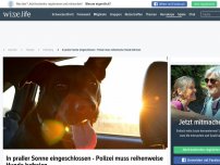 Bild zum Artikel: In praller Sonne eingeschlossen - Polizei muss reihenweise Hunde befreien