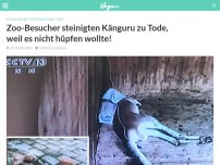 Bild zum Artikel: Zoo-Besucher steinigten Känguru zu Tode, weil es nicht hüpfen wollte!