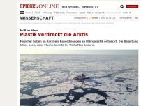 Bild zum Artikel: Müll im Meer: Plastik verdreckt die Arktis