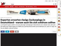 Bild zum Artikel: Deutschlandweite Plage erwartet: Es ist das Jahr gekommen, in dem auch Sie sich vor Zecken schützen sollten