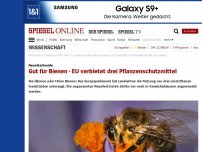 Bild zum Artikel: Neonikotinoide: Gut für Bienen - EU verbietet drei Pflanzenschutzmittel
