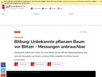 Bild zum Artikel: Bitburg: Unbekannte pflanzen Baum vor Blitzer - Messungen unbrauchbar