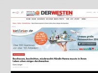 Bild zum Artikel: Beschossen, beschnitten, missbraucht: Hündin Hanna musste in ihrem Leben schon einiges durchmachen