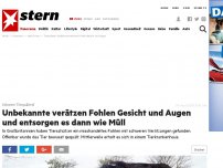 Bild zum Artikel: Schwere Tierquälerei: Unbekannte verätzen Fohlen Gesicht und Augen und entsorgen es dann wie Müll