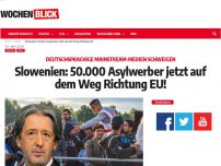 Bild zum Artikel: Slowenische Regierung: 50.000 Asylwerber jetzt auf dem Weg Richtung EU!