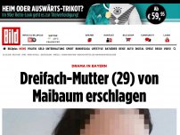 Bild zum Artikel: Drama in Bayern - Jasmin (29) hinterlässt drei Kinder