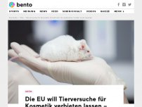 Bild zum Artikel: Die EU will Tierversuche für Kosmetik verbieten lassen – und zwar weltweit