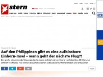 Bild zum Artikel: Traumziel für Hipster: Auf den Philippinen gibt es eine aufblasbare Einhorn-Insel – wann geht der nächste Flug?!