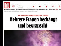 Bild zum Artikel: Frauen in Bonn begrapscht - Sex-Attacken bei „Rhein in Flammen”