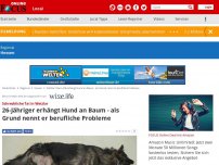 Bild zum Artikel: Schreckliche Tat in Wetzlar - 26-Jähriger erhängt Hund an Baum - als Grund nennt er berufliche Probleme