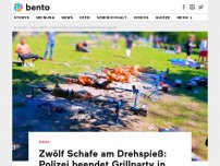 Bild zum Artikel: Zwölf Schafe am Drehspieß: Polizei beendet Grillparty in Berliner Park