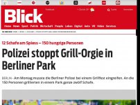 Bild zum Artikel: 12 Schafe am Spiess – 150 hungrige Personen: Polizei stoppt Grill-Orgie in Berliner Park
