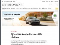 Bild zum Artikel: AfD Thüringen: Björn Höcke darf in der AfD bleiben
