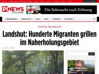Bild zum Artikel: Polizei machtlos Landshut: Hunderte Migranten grillen im Naherholungsgebiet