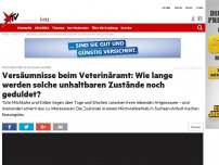 Bild zum Artikel: Horrorbetrieb in Sachsen-Anhalt: Versäumnisse beim Veterinäramt: Wie lange werden solche unhaltbaren Zustände noch geduldet?