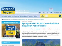 Bild zum Artikel: Bye Bye Birke: Ab jetzt verschwinden die gelben Pollen wieder
