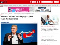 Bild zum Artikel: AfD - Nach CSU-Attacke kontert Jörg Meuthen gegen Markus Blume