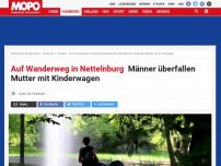 Bild zum Artikel: Auf Wanderweg in Nettelnburg: Männer überfallen Mutter mit Kinderwagen