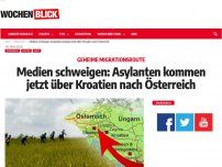 Bild zum Artikel: Medien schweigen: Asylanten kommen jetzt über Kroatien nach Österreich!