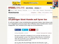 Bild zum Artikel: Magdeburg: 23-Jähriger lässt Hunde auf Syrer los