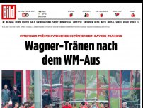 Bild zum Artikel: Mitspieler trösten ihn - Wagner-Tränen nach dem WM-Aus