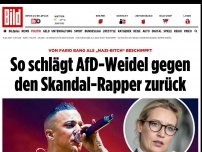 Bild zum Artikel: Alice Weidel beschimpft - AfD schlägt gegen Skandal-Rapper zurück