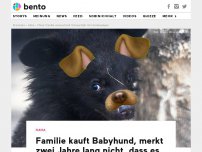Bild zum Artikel: Familie kauft Babyhund, merkt zwei Jahre lang nicht, dass es ein Bär ist