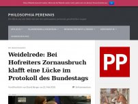 Bild zum Artikel: Weidelrede: Bei Hofreiters Zornausbruch klafft eine Lücke im Protokoll des Bundestags