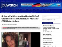 Bild zum Artikel: Grünen-Politikerin attackiert AfD-Chef Gauland in Frankfurts Neuer Altstadt – CDU klatscht dazu
