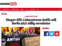 Bild zum Artikel: Wegen AfD: Linksextreme Antifa will Berlin jetzt völlig verwüsten!