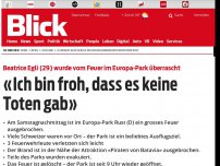 Bild zum Artikel: Schwarze Rauchsäule steigt in den Himmel: Grossbrand im Europa-Park Rust