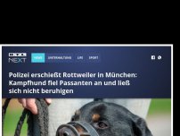 Bild zum Artikel: Polizei erschießt Rottweiler in München