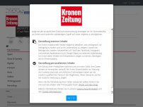 Bild zum Artikel: Kickl will „im Fall der Fälle“ Grenze dicht machen