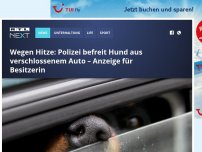 Bild zum Artikel: Wegen Hitze: Polizei befreit Hund aus verschlossenem Auto – Anzeige für Besitzerin