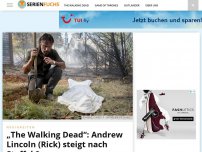 Bild zum Artikel: „The Walking Dead“: Andrew Lincoln steigt nach Staffel 9 aus