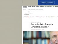 Bild zum Artikel: Ökonom Hans Werner Sinn: Euro-Austritt Italiens „wahrscheinlich“