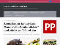 Bild zum Artikel: Ramadan in Rotterdam: Mann ruft „Allahu Akbar“ und sticht auf Hund ein