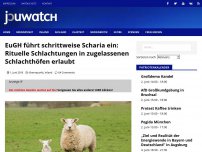 Bild zum Artikel: EuGH führt schrittweise Scharia ein: Rituelle Schlachtungen in zugelassenen Schlachthöfen erlaubt