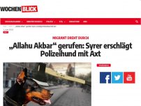 Bild zum Artikel: 'Allahu Akbar' gerufen: Syrer erschlägt Polizeihund mit Axt