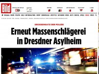 Bild zum Artikel: Großeinsatz der Polizei - Erneut Massenschlägerei in Dresdner Asylheim