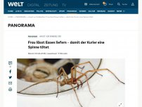Bild zum Artikel: Frau lässt Essen liefern – damit der Kurier eine Spinne tötet