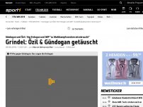 Bild zum Artikel: Grindel: Özil und Gündogan wurden für Propaganda missbraucht