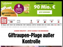 Bild zum Artikel: Kinder verletzt - Giftraupen-Plage außer Kontrolle