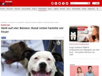 Bild zum Artikel: Kalifornien - Held auf vier Beinen: Hund rettet Familie vor Feuer