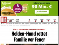 Bild zum Artikel: Baby an Windel gepackt - Helden-Hund rettet Familie vor Feuer