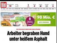 Bild zum Artikel: Grausam! - Arbeiter begraben Hund unter heißem Asphalt