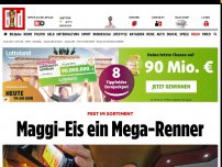 Bild zum Artikel: Fest im Sortiment - Maggi-Eis ein Mega-Renner