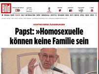 Bild zum Artikel: Kontroverse Äußerungen - Papst: »Homosexuelle  können keine Familie sein
