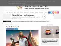 Bild zum Artikel: Thor für Deutschland!